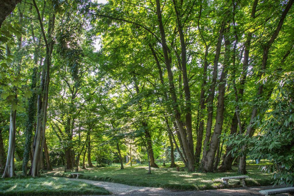 Villa Revedin Gorgo al Monticano Zewnętrze zdjęcie